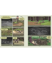Wilki Historie prawdziwe