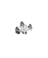 Plato’s cave image in Anthropos by E. E. Cummings